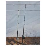 Penn senator Shimano 25 fishing reels rod & reels