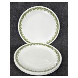 6- Corelle Spring Blossom dinner plates crazy