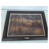 American Heartthrob by Hayden Lambson