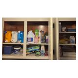 Laundry detergent & more contents of cabinet