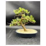 Vintage JAPAN artificial bonsai tree