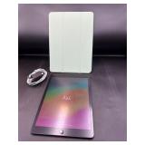 Apple iPad model A2197 factory reset