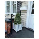 Outdoor topiary in wooden planter