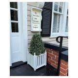 Outdoor topiary in wooden planter