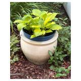 Planter