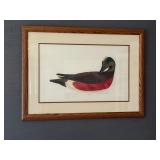 Signed LE colored etching Lawrence Snyder