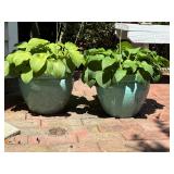 Heavy Pair of glazed planters