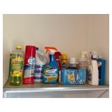 Cleaning products (used)