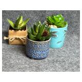Artificial Succulents