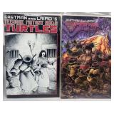 1989 TMNT Ninja Turtles #17 & 18