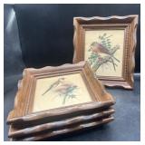 4 Vintage PH Gunner Bird Art Prints