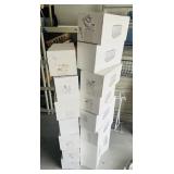 Lot of Acrylic Collector Doll Cases