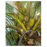 Kitchen Decor - 4 pc Wall Art