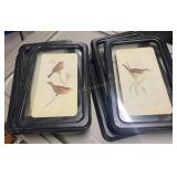 Lot of Framed Floating Bird Art Wall Decor