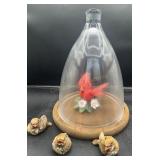 Dulton Glass Cloche with Bird Decor