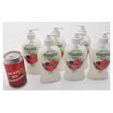 6 bouteilles de savon GermOut, neuves