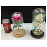 2 fleurs sous dômes en verre, lumineuses,