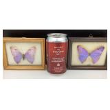 2 papillons naturalisés dans cadres à vitres
