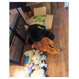 Stuffed animals costumes books