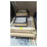 Riker insect flower frames scientific taxidermy