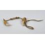 Early Northwest Coast Shaman Effigy Bear Teeth
