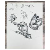 Janet Elizabeth Turner Dog Sketch