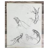 Janet Elizabeth Turner Iguana Lizard Sketch