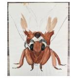 Janet Elizabeth Turner Moth Watercolor Painting