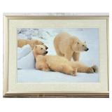 Thomas D. Mangelsen Bad Boys of the Arctic