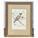 Ron Jenkins Cedar Waxwing Watercolor Painting