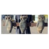 Antique Carnival Owl Shooting Gallery Targets