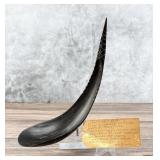 Haida Northwest Coast Native American Horn Spoon