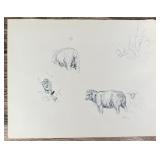 Janet Elizabeth Turner Sheep Sketch