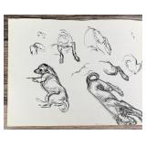 Janet Elizabeth Turner Dog Sketch