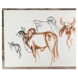 Janet Elizabeth Turner Brahman Bull Sketch