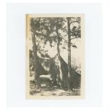 Indian Camp Crow Agency Montana Photo