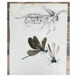 Janet Elizabeth Turner Dragonfly Moth Painting