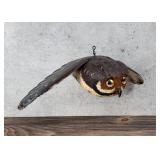 Casey Edwards Flying Owl Decoy