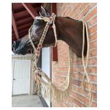 Lakota Sioux Native American Indian Headstall