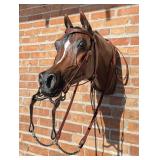 South Dakota Centennial Horse Bit & Headstall