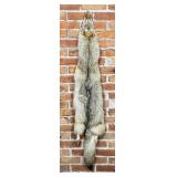 Montana Taxidermy Coyote Pelt Hide