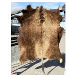 Taxidermy Montana Buffalo Hide Robe Rug