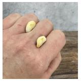 Montana Bull Elk Teeth