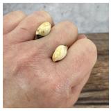 Montana Bull Elk Teeth