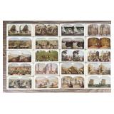 Collection of Antique Stereoviews