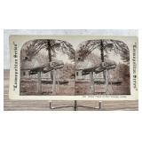 Whale Totum At Fort Wrangle Alaska Stereoview