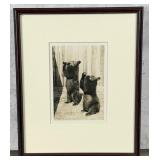 Yellowstone National Park Montana Bear Photo