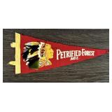 Petrified Forest Arizona Souvenir Pennant