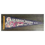 Carlsbad Caverns New Mexico Souvenir Pennant
