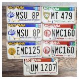 Montana University Vehicle License Plates